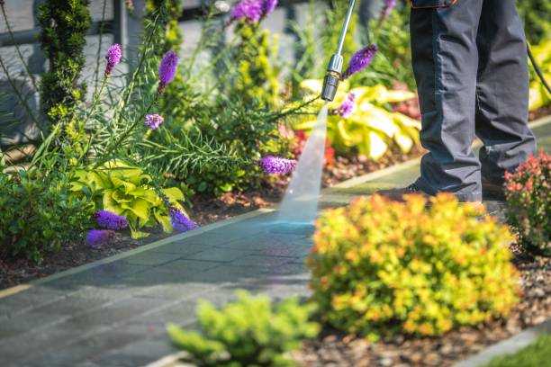 Best Post-Construction Pressure Washing  in Pinellas Park, FL
