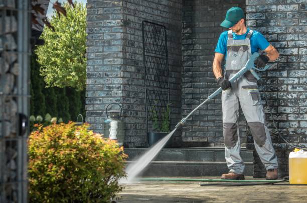 Best Driveway Pressure Washing  in Pinellas Park, FL