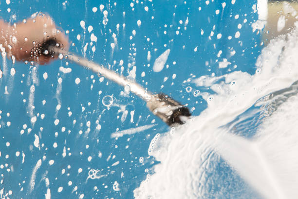 Best Roof Washing  in Pinellas Park, FL